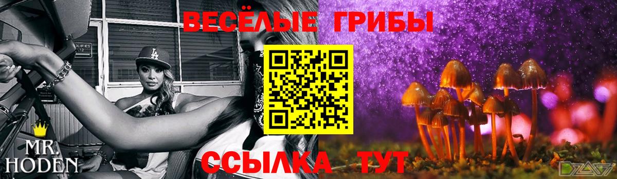 Псилоцибиновые грибы Magic Shrooms Ангарск