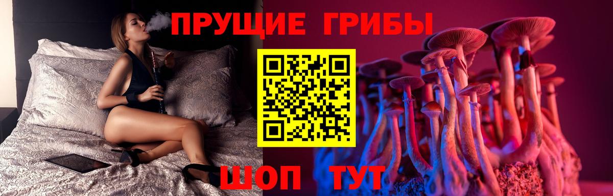 Псилоцибиновые грибы GOLDEN TEACHER  Вход с VPN  Ангарск 